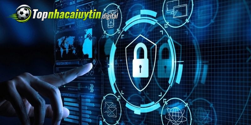 Đọc kỹ điều khoản sử dụng trước giao dịch