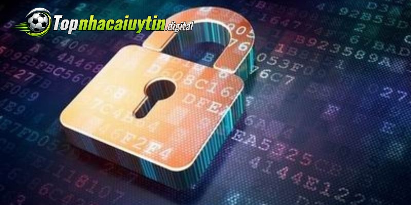 Nắm bắt điều khoản sử dụng để đảm bảo quyền lợi